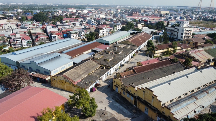 Khởi tố Tổng giám đốc Công ty Cổ phần Đồ hộp Hạ Long