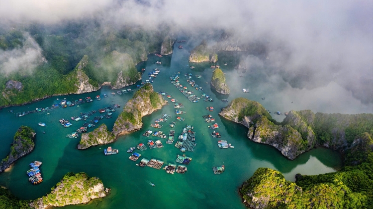 Theo dòng thời sự chiều 17/1/2026