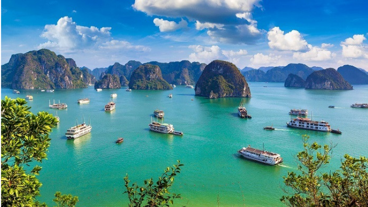 Bản tin 9h 25/1/2026