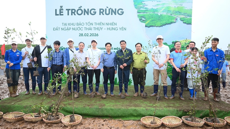 Trồng rừng ven biển: Doanh nghiệp đồng hành bảo vệ đa dạng sinh học 