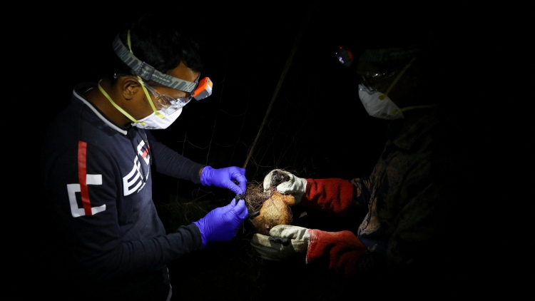 Bangladesh ghi nhận ca tử vong đầu tiên do virus Nipah trong năm