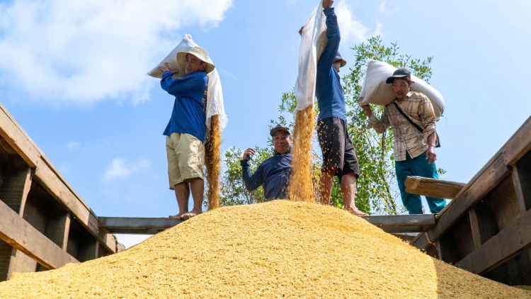 Nông sản Việt hướng tới giá trị, thị trường và bền vững.