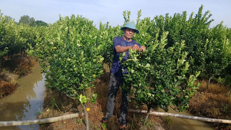 Theo dòng thời sự sáng 23/2/2026