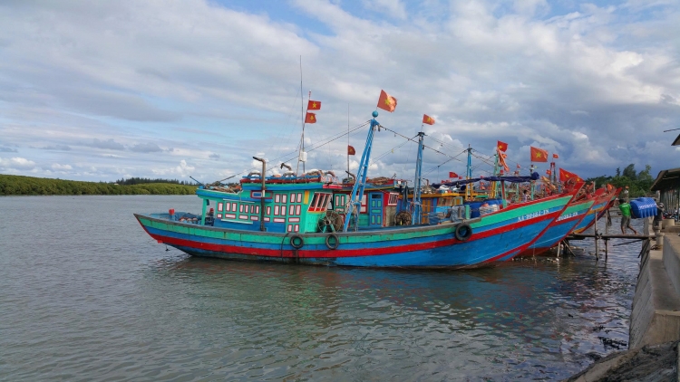 Đẩy mạnh phân quyền, tăng cường quản lý thủy sản theo quy định mới