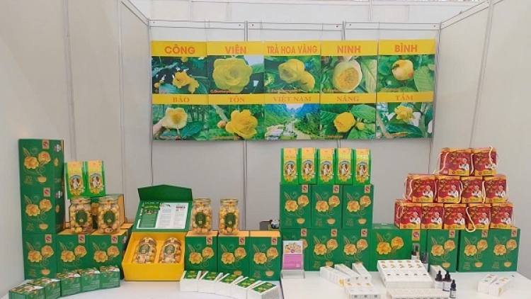 Nông sản xanh tạo dấu ấn tại Hội chợ Mùa Xuân 2026