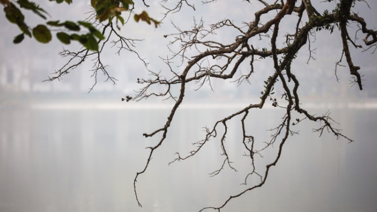 Thời tiết ngày 11/2/2026: Miền Bắc, Hà Nội âm u, mưa rải rác