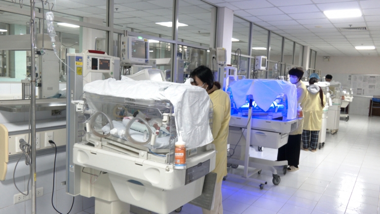 Nơi những sinh linh bé bỏng được sinh ra lần thứ hai