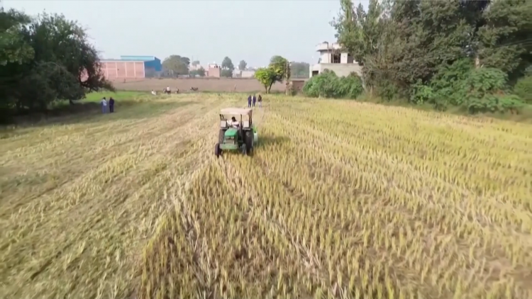 Mỹ rút mức thuế bổ sung 25% áp với hàng hóa Ấn Độ liên quan tới việc mua dầu Nga