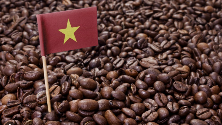 Theo dòng thời sự chiều 23/2/2026