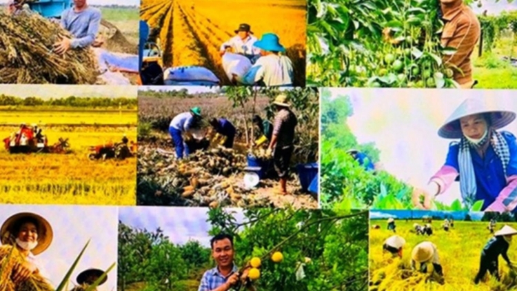 Nông nghiệp khởi đầu năm 2026 - Sản xuất ổn định, tạo đà hoàn thành mục tiêu cả năm