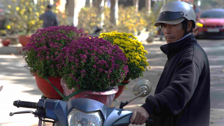 Phí vận chuyển hoa, cây cảnh tăng gấp đôi trong dịp Tết