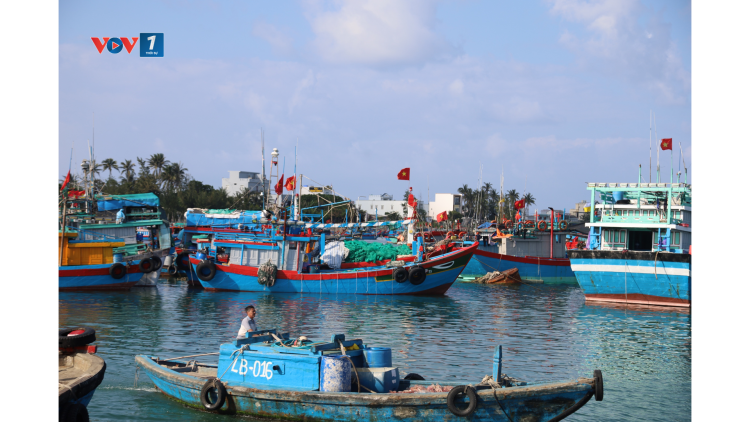 Quảng Ngãi tiếp sức ngư dân chuyển đổi nghề, giảm tàu nguy cơ cao