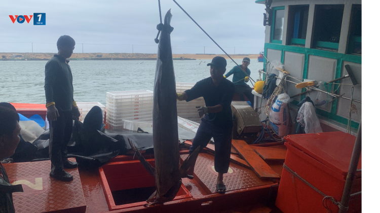Biên phòng Đắk Lắk sát cánh cùng ngư dân trên những chuyến tàu xuyên Tết