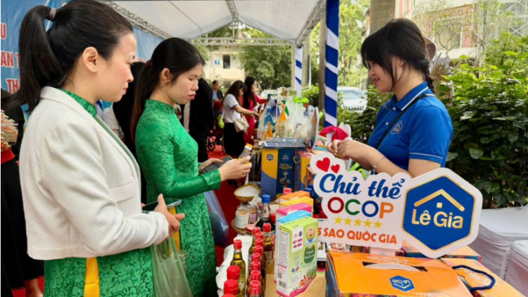 Hà Nội phối hợp 26 địa phương xây dựng gần 1.400 chuỗi thực phẩm an toàn