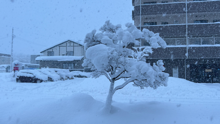 Thời tiết cực đoan trái chiều tiếp diễn tại Nhật Bản gây thiệt hại nghiêm trọng