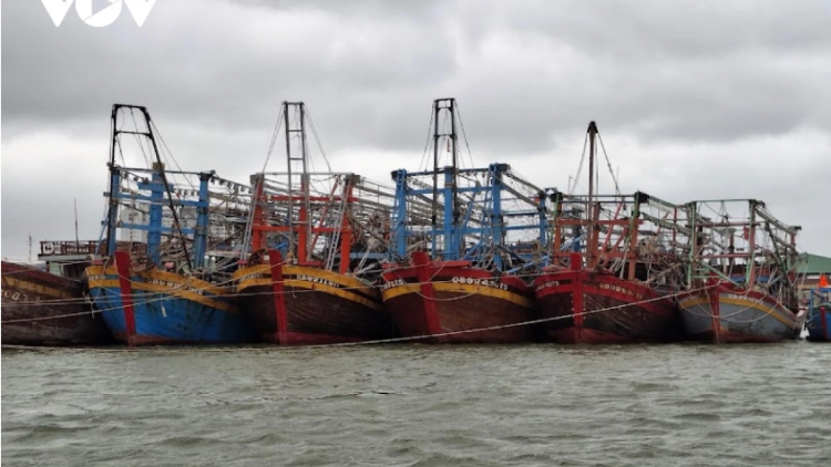 Thời sự 21h30 11/2/2026: Đà Nẵng chi gần 61 tỉ đồng hỗ trợ ngư dân chuyển đổi nghề và vươn khơi