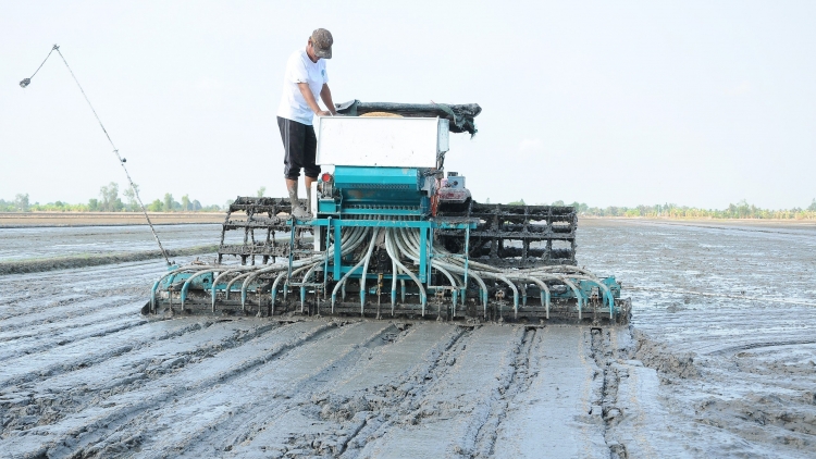 Bài 2: Nông nghiệp vùng ĐBSCL khẳng định vị thế xuất khẩu