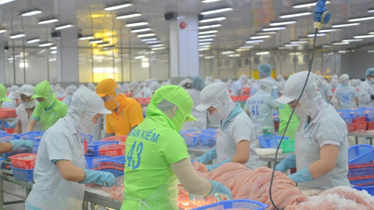 Bài 3: ĐBSCL với trọng trách an ninh lương thực và bảo vệ môi trường