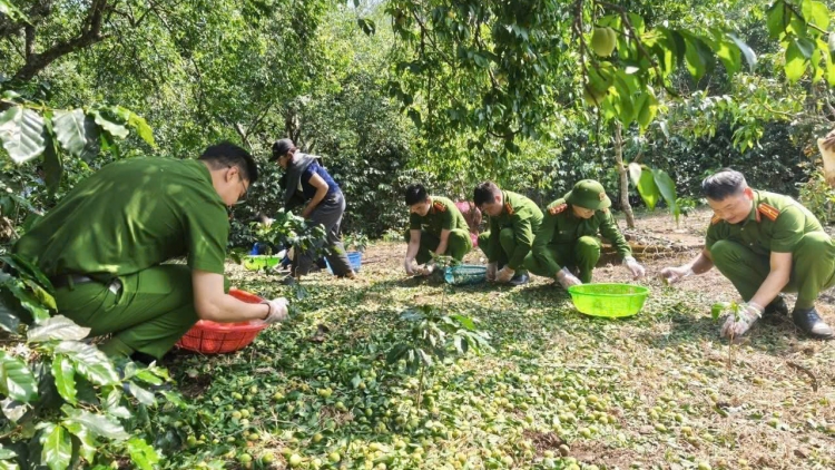  Chiềng An: Chung tay khắc phục thiệt hại do mưa đá