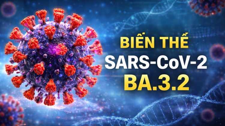 Bản tin 15h 31/3/2026