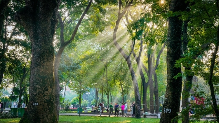 Thời tiết ngày 22/3/2026: Bắc Bộ, giảm, mưa hửng nắng, Nam Bộ nắng nóng gay gắt