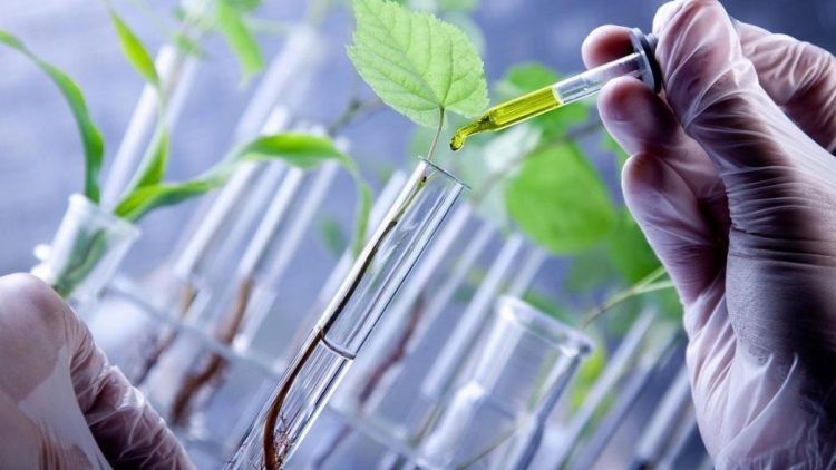 Ứng dụng công nghệ, chuyển đổi xanh thay đổi tư duy sản xuất nông nghiệp