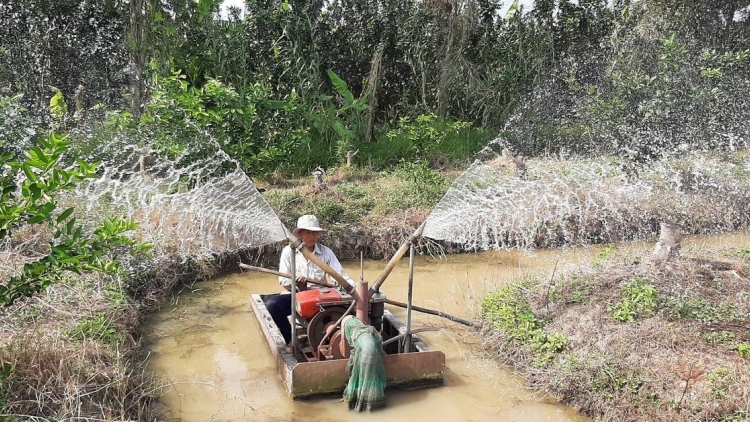 Chủ động ứng phó hạn mặn, bảo vệ sản xuất ở Đồng bằng sông Cửu Long