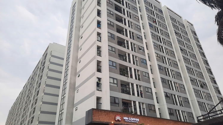 Quản lý hiệu quả nhà ở xã hội giúp cuộc sống cộng đồng cư dân phát triển bền vững