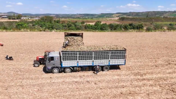 Liên kết giữa nông dân và doanh nghiệp: Chìa khóa nâng cao giá trị nông sản        