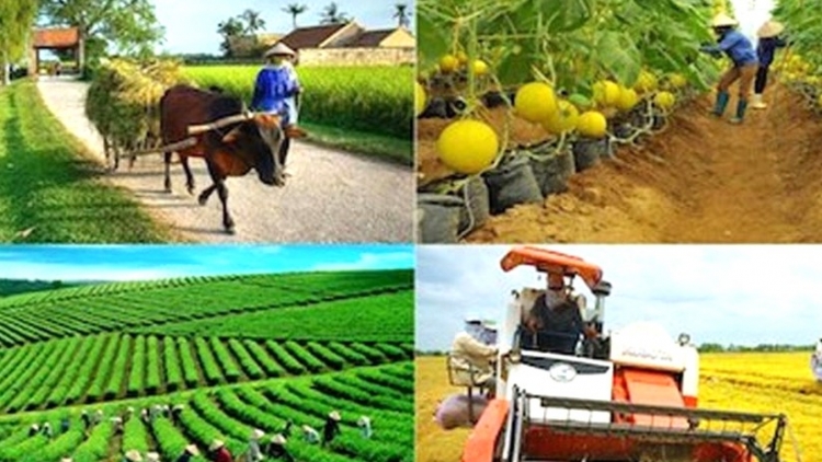 Nông nghiệp thích ứng trước tác động từ xung đột Trung Đông