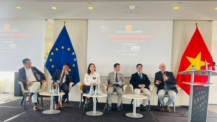 Kiều bào kỳ vọng Quốc hội khóa XVI kiến tạo phát triển