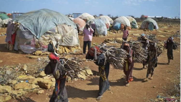 Nhiều nước châu Phi thiếu hụt nhiêu liệu