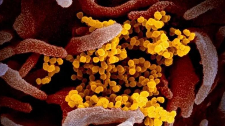 Bộ Y tế ra khuyến cáo về biến thể mới của SARS-CoV-2