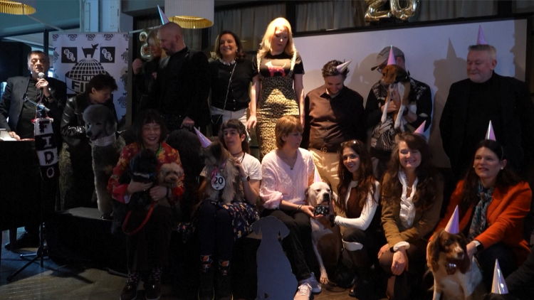 Fido Awards - “Giải Oscar” dành cho những chú chó trong ngành điện ảnh