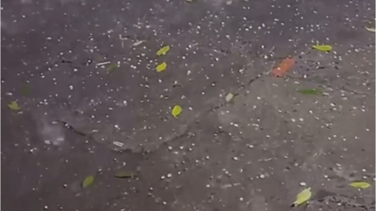 Hà Nội xuất hiện mưa đá