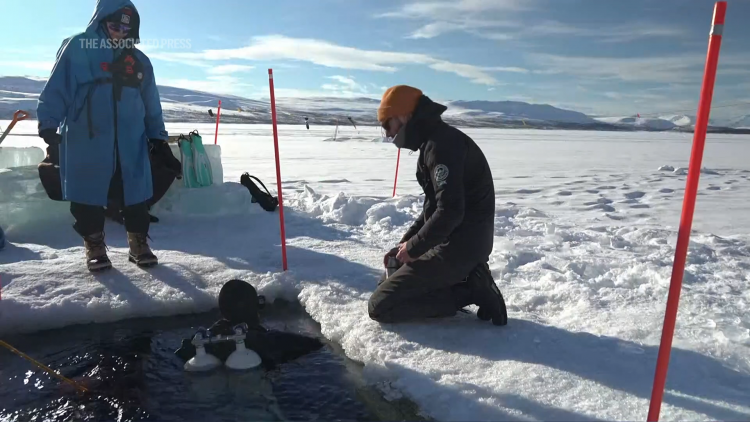 Lặn bên dưới những lớp băng các nhà khoa học trang bị kỹ năng mới phục vụ nghiên cứu khí hậu 