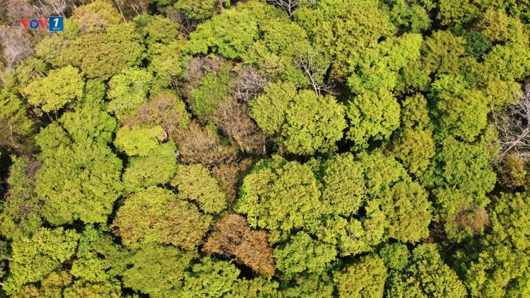 Theo dòng thời sự chiều 17/3/2026