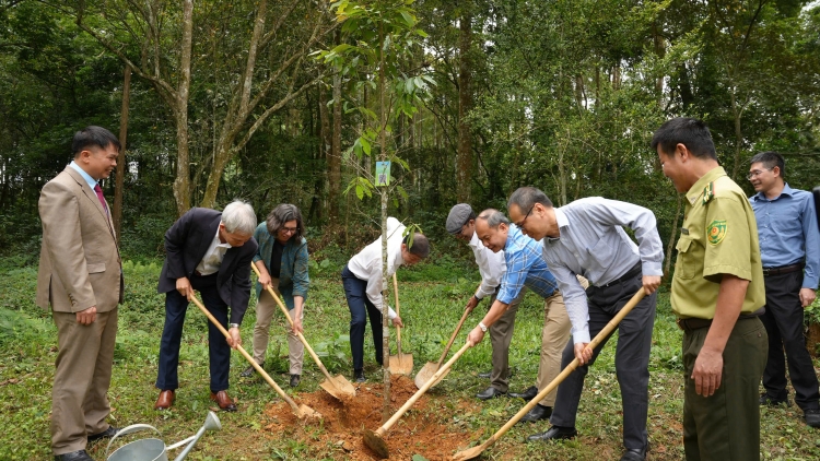 Ngày Quốc tế về Rừng 2026: Rừng và Phát triển Kinh tế Bền vững
