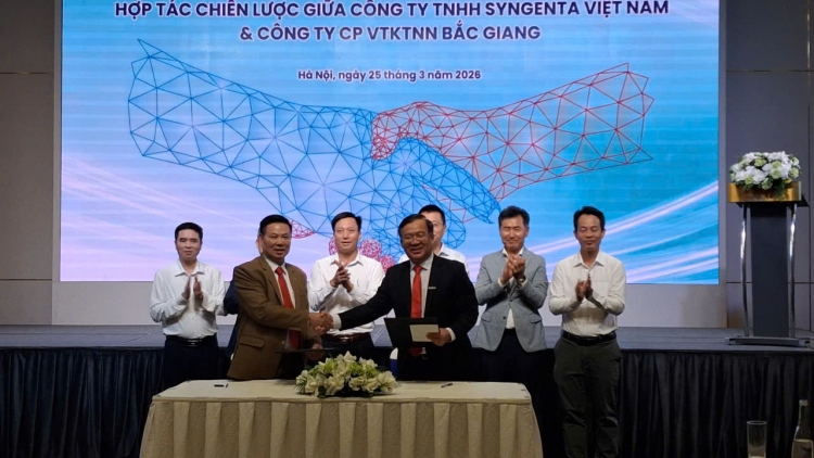 BMT và Syngenta: Hợp tác vì lợi ích của nông dân Việt nam