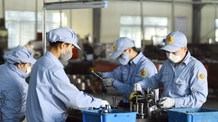 Phát huy vai trò Bảo hiểm tai nạn lao động, bệnh nghề nghiệp