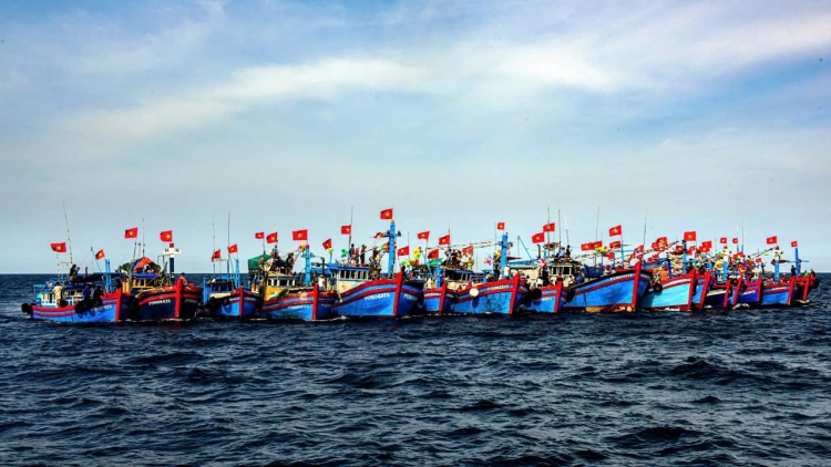 Việt Nam nỗ lực vì một nghề cá bền vững và uy tín quốc gia