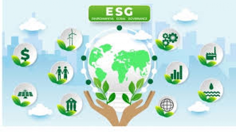 Đẩy mạnh thực thi ESG tại Việt Nam 