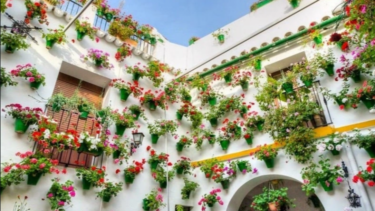 Theo dòng thời sự chiều 8/3/2026