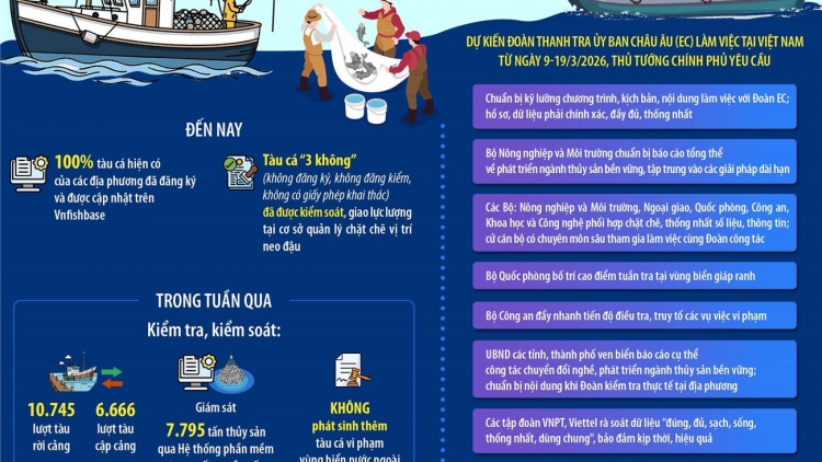 Bài 3 Loạt bài “Gỡ “thẻ vàng” IUU: Hành trình chuyển mình của nghề cá Việt Nam”