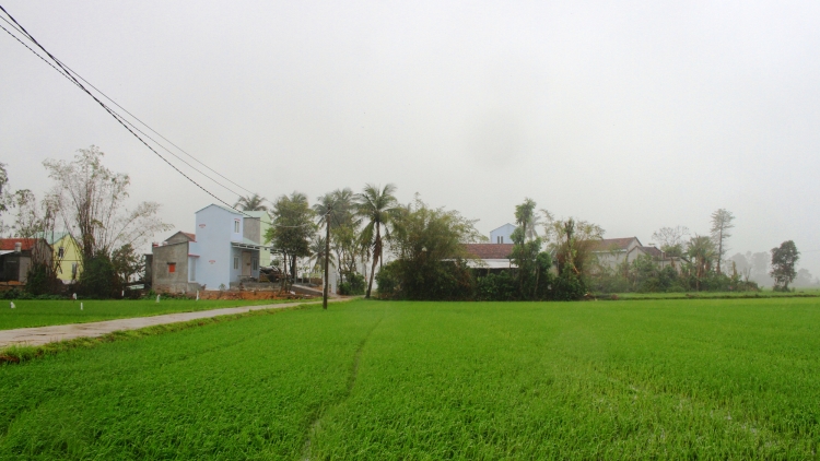 Nước mắt và Nụ cười Hòa Thịnh