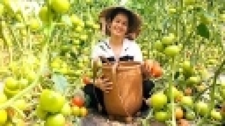 Lâm Đồng đẩy mạnh chuyển đổi số trong sản xuất, chế biến sản phẩm nông nghiệp hữu cơ