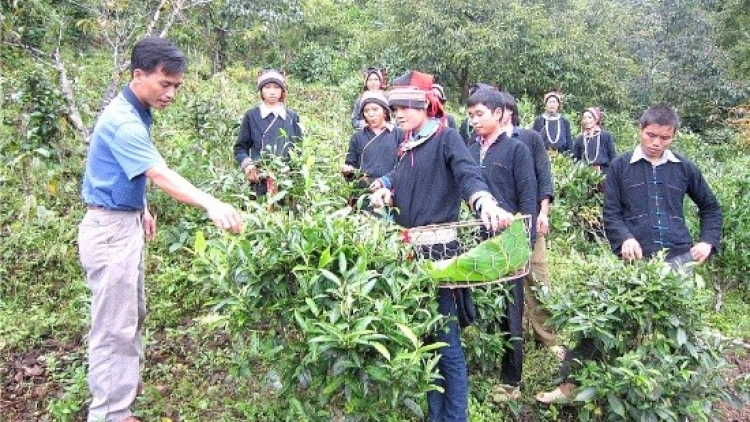 Giải pháp giúp người lao động Lạng Sơn vững vàng trước biến động việc làm