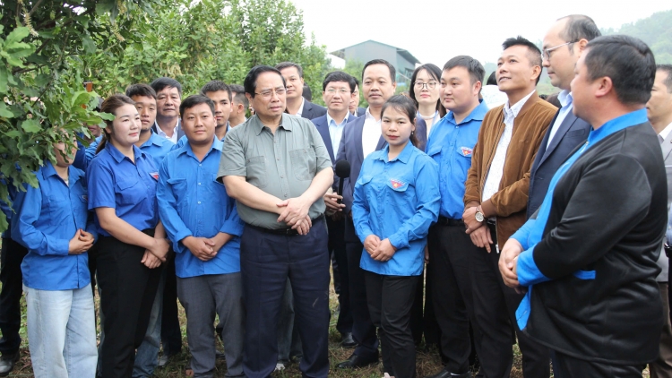 Bản tin 15h 8/3/2026