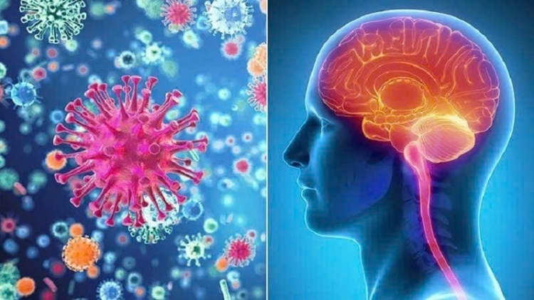Cảnh giác viêm não mô cầu: “Sát thủ thầm lặng” với nguy cơ tử vong nhanh