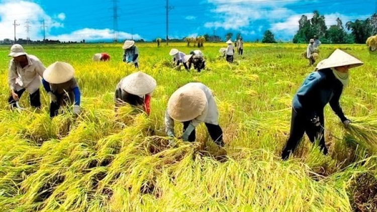 Vì người lao động – Động lực phát triển bền vững